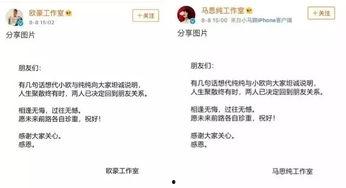 娱乐圈吃瓜爆料张翰,揭秘背后的真相与争议